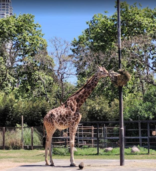Encantador Depto En Canitas Palermo Lägenhet Buenos Aires Exteriör bild